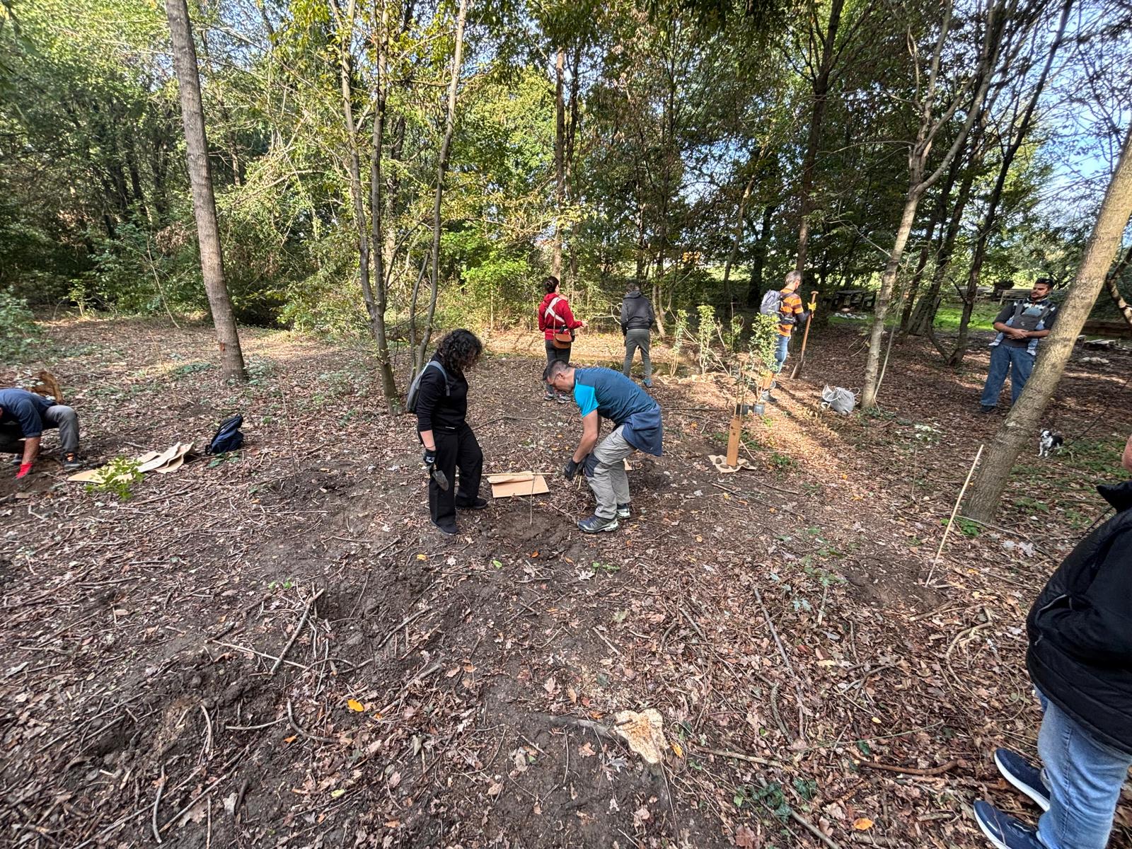Tree-planting activity in the forest